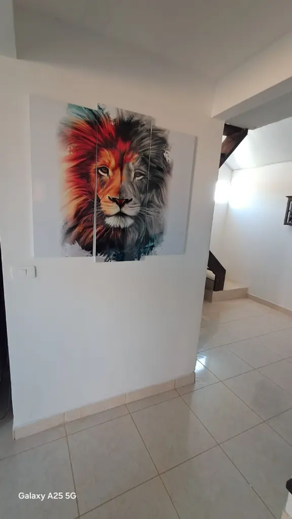 WhatsApp Image 2025-04-29 at 10.08.03 PM (4).webp