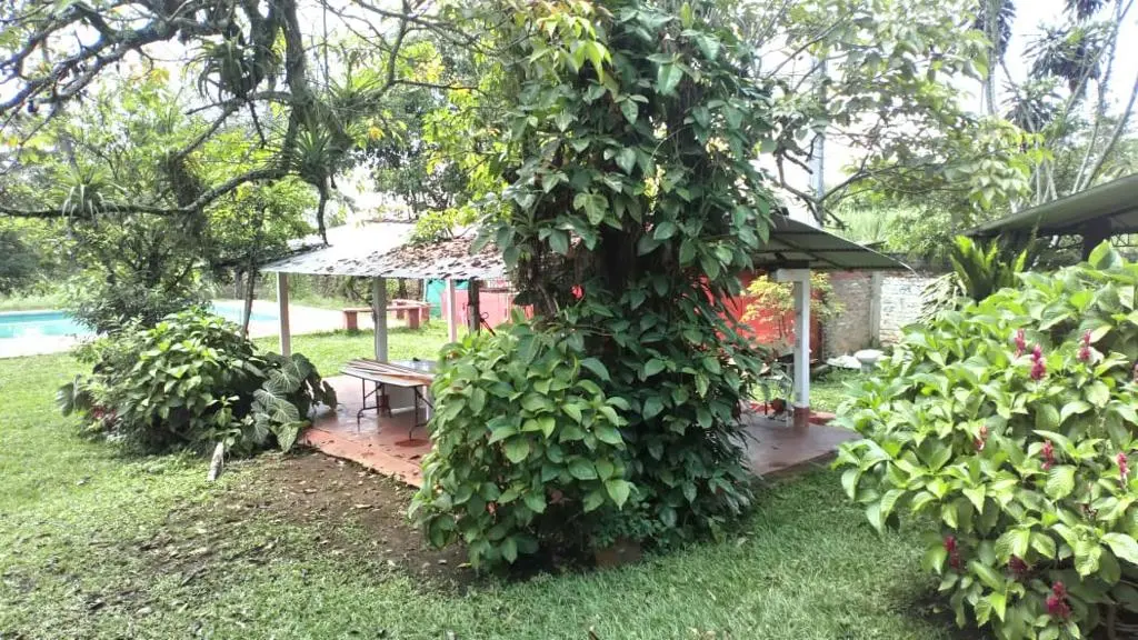 WhatsApp Image 2025-04-02 at 7.50.44 PM (3).webp