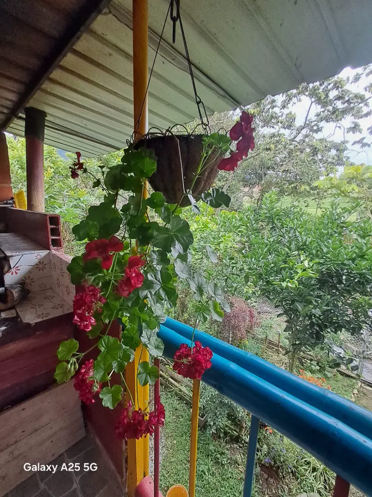 WhatsApp Image 2025-05-06 at 9.42.09 PM (1).webp