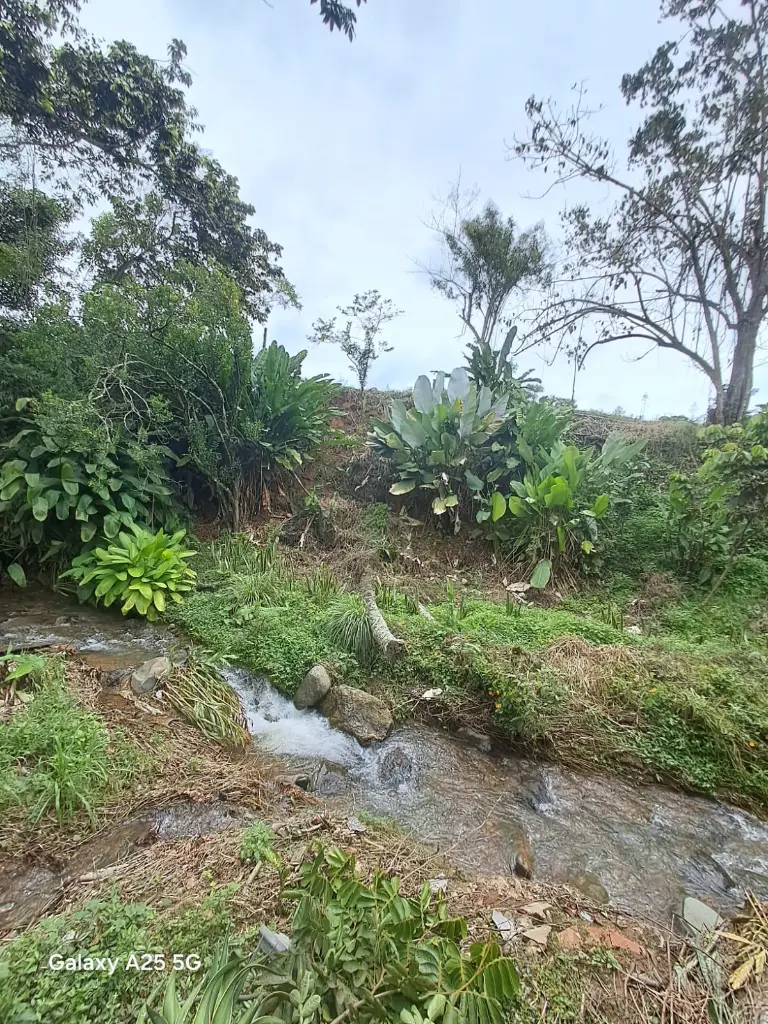 WhatsApp Image 2025-05-06 at 9.42.09 PM (4).webp