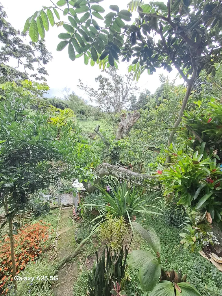 WhatsApp Image 2025-05-06 at 9.42.10 PM (4).webp