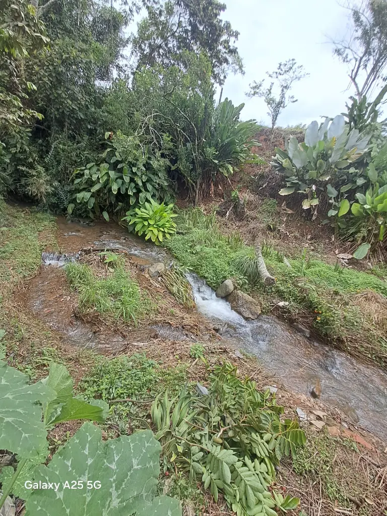 WhatsApp Image 2025-05-06 at 9.42.09 PM (5).webp