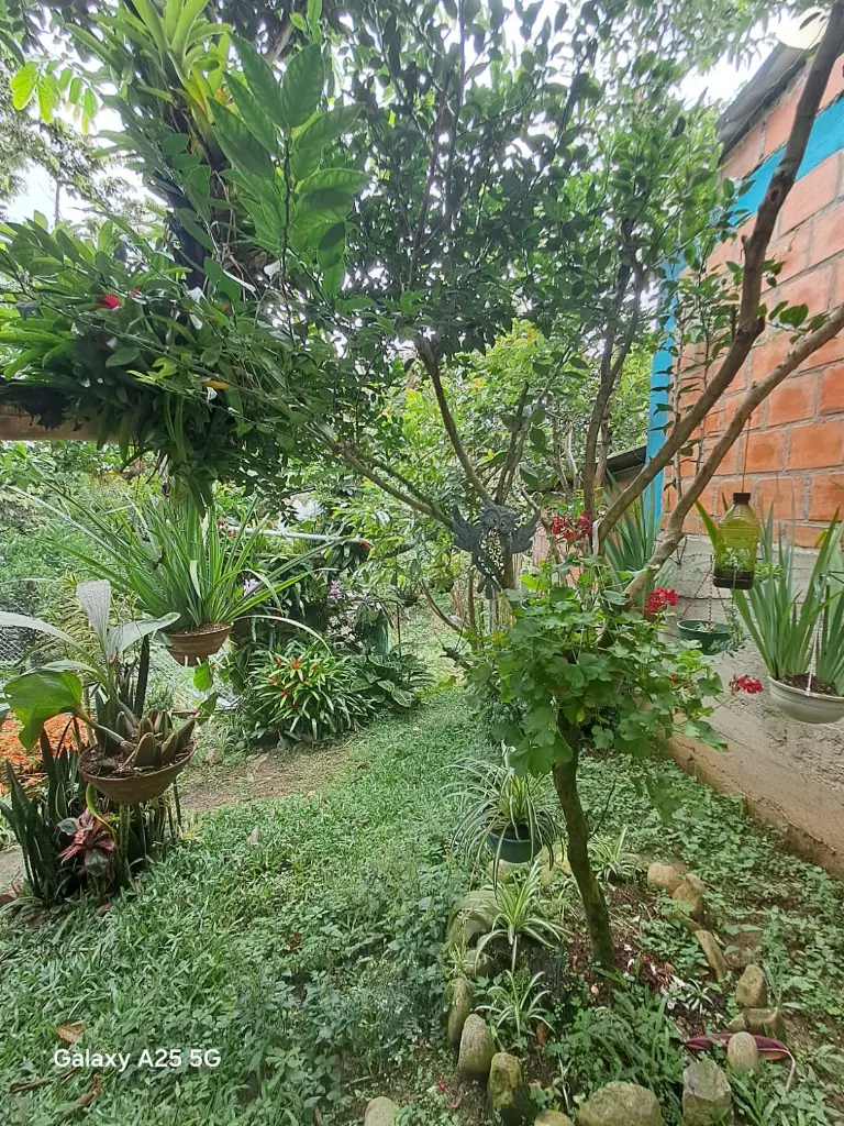 WhatsApp Image 2025-05-06 at 9.42.08 PM (3).webp