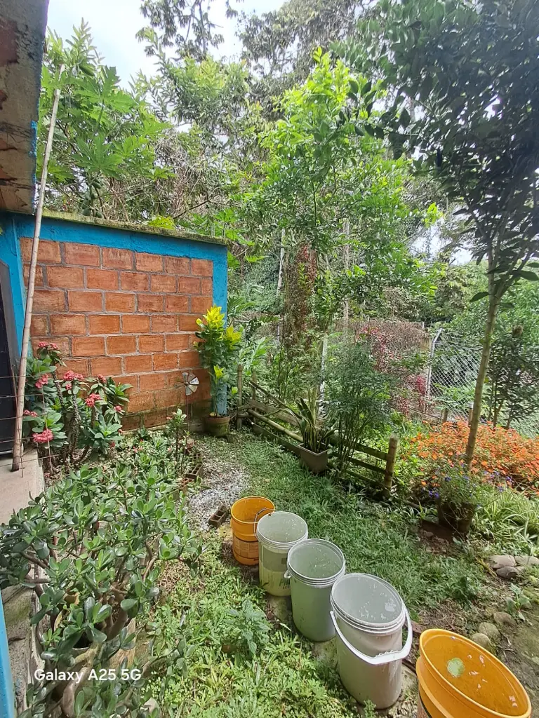 WhatsApp Image 2025-05-06 at 9.42.10 PM (3).webp