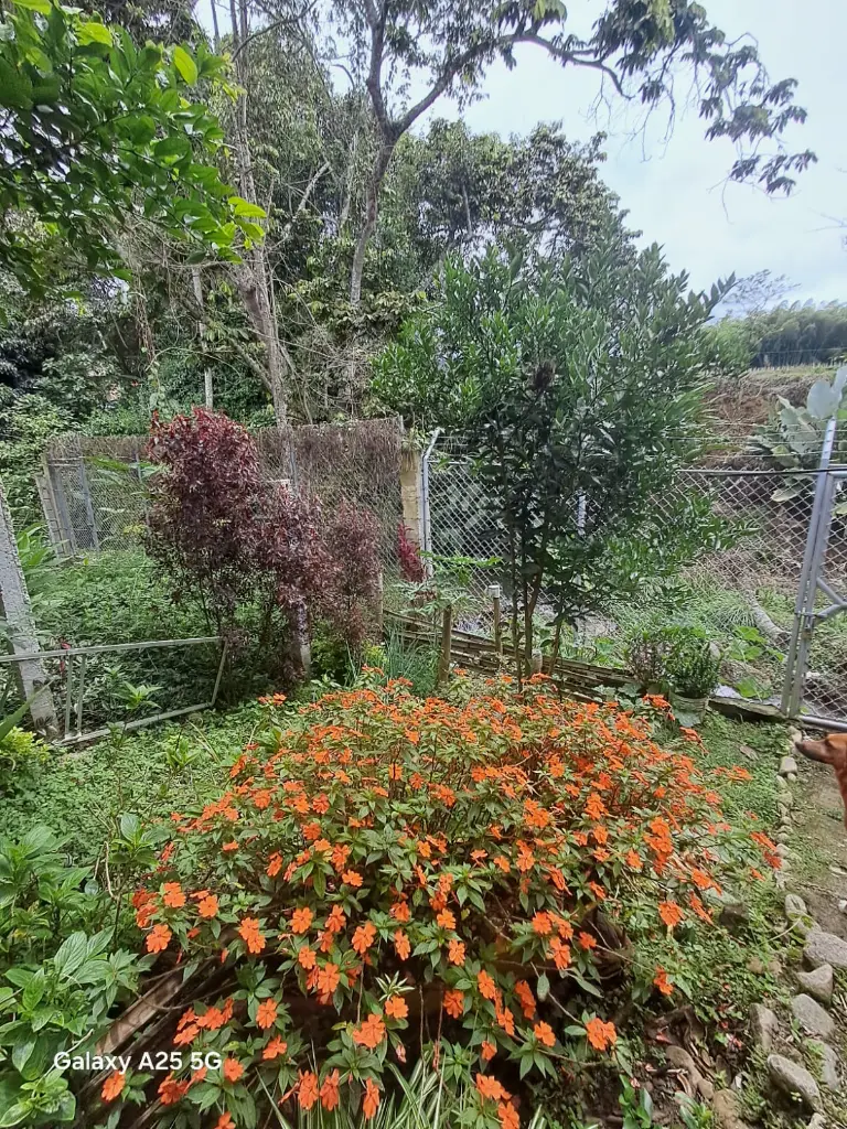 WhatsApp Image 2025-05-06 at 9.42.10 PM (2).webp