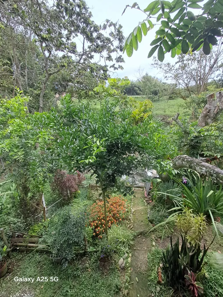 WhatsApp Image 2025-05-06 at 9.42.10 PM (1).webp