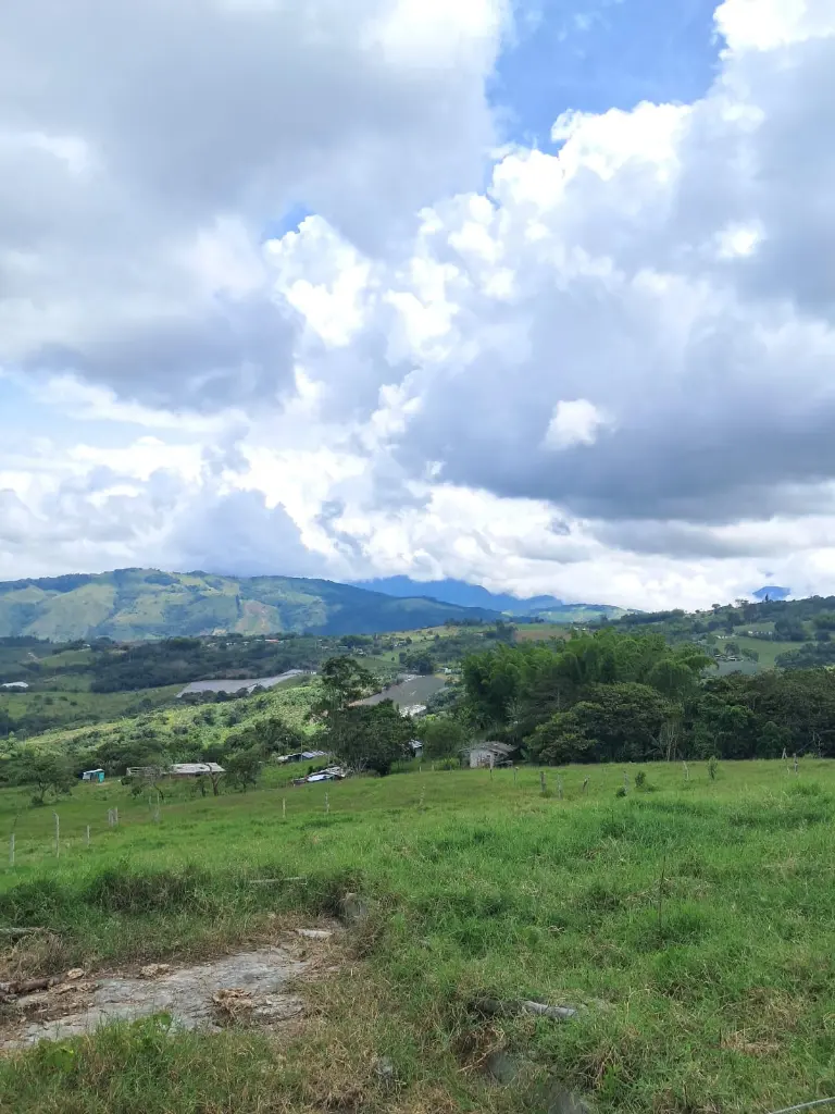 WhatsApp Image 2025-04-01 at 9.38.32 AM (2).webp