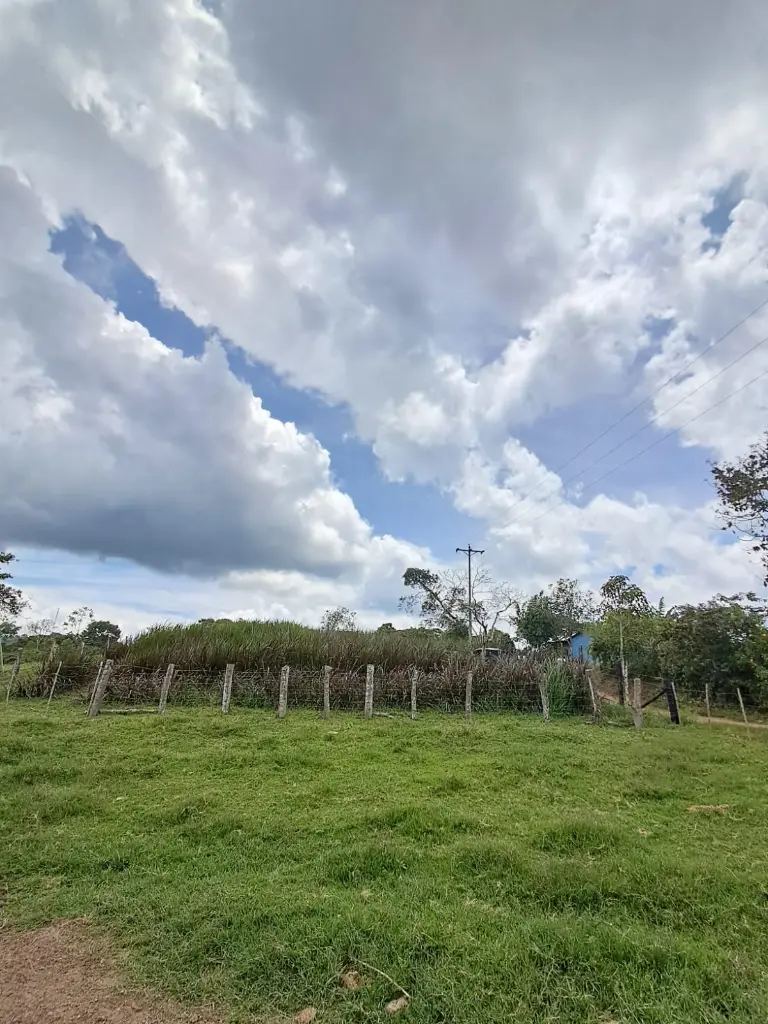 WhatsApp Image 2025-04-01 at 9.38.36 AM (1).webp