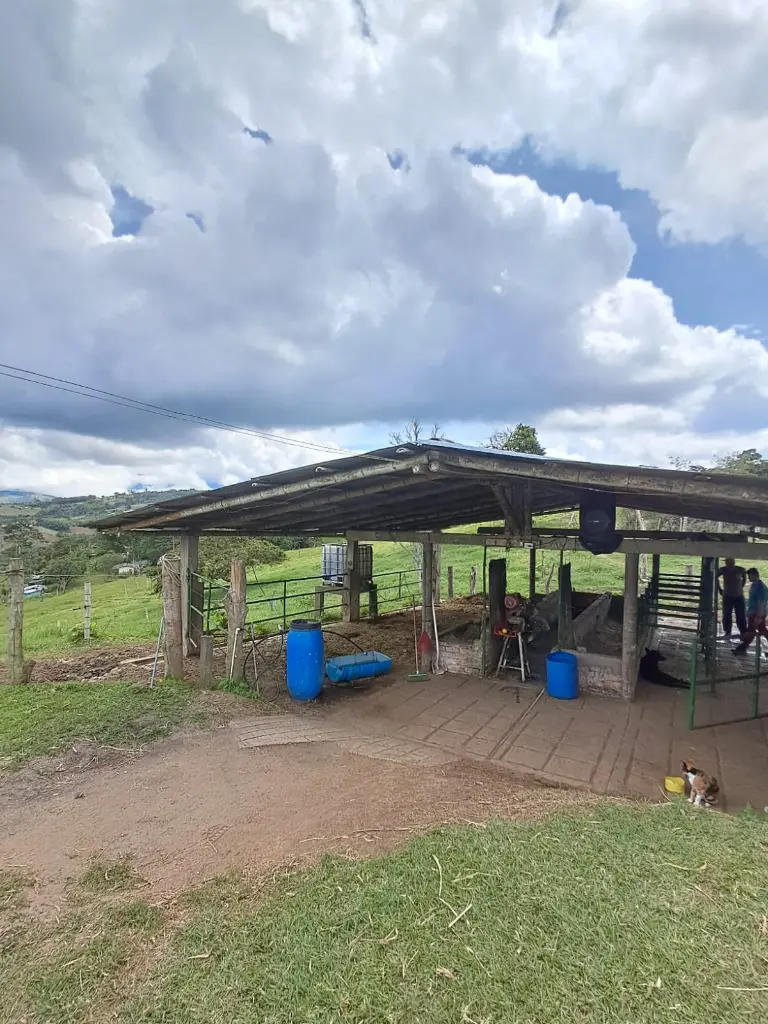 WhatsApp Image 2025-04-01 at 9.38.34 AM (1).webp