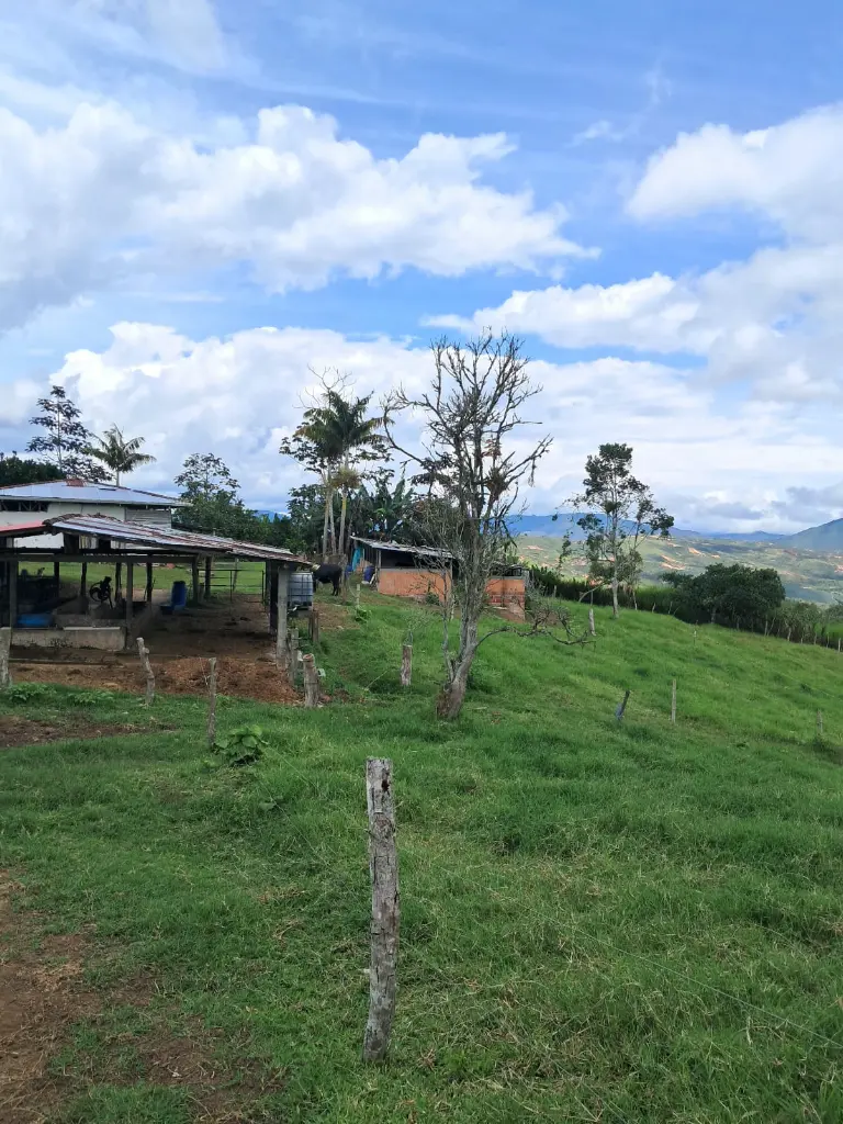 WhatsApp Image 2025-04-01 at 9.38.32 AM (1).webp