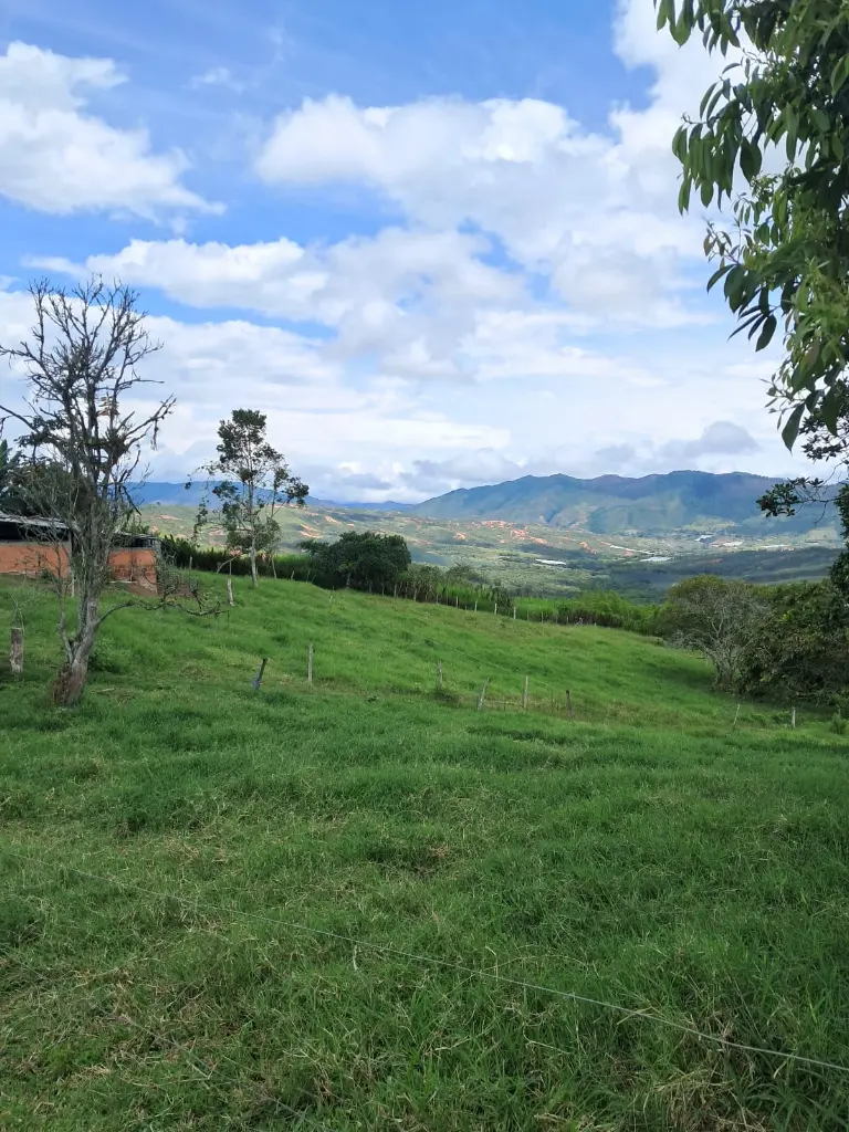 WhatsApp Image 2025-04-01 at 9.38.35 AM (1).webp