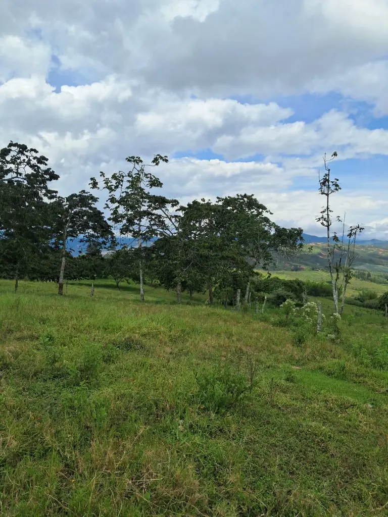 WhatsApp Image 2025-04-01 at 9.38.33 AM (2).webp