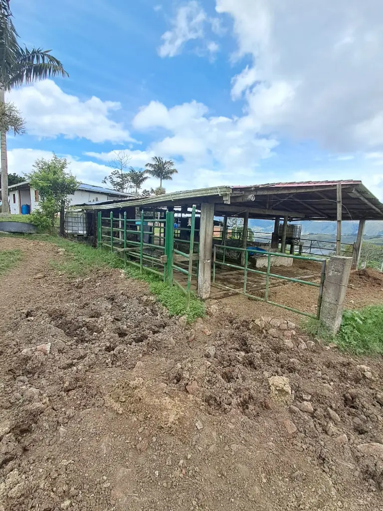 WhatsApp Image 2025-04-01 at 9.38.34 AM (3).webp