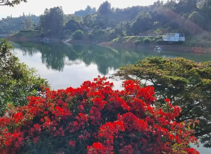 WhatsApp Image 2025-05-23 at 4.21.52 PM (3).webp