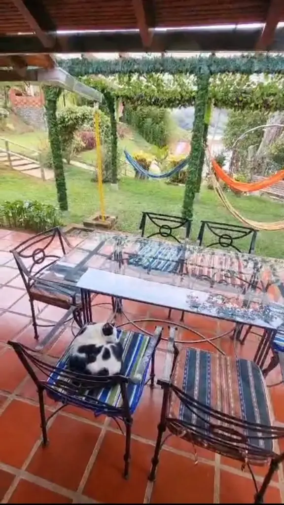 WhatsApp Image 2025-05-23 at 4.21.50 PM (4).webp