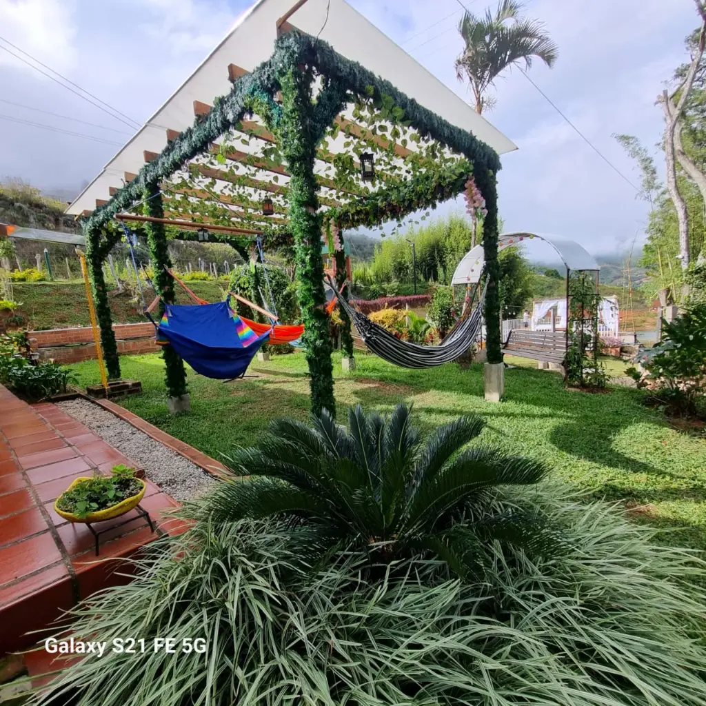 WhatsApp Image 2025-05-23 at 4.21.48 PM (4).webp