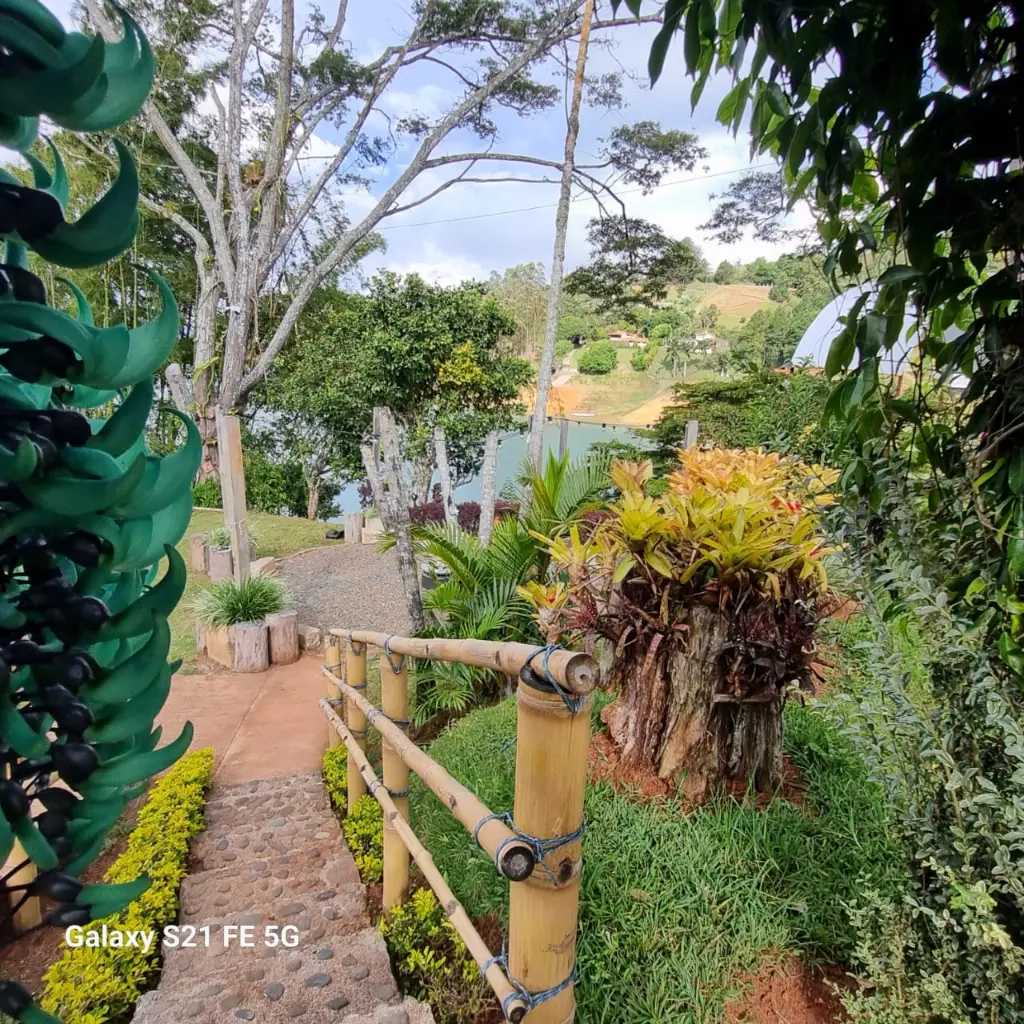 WhatsApp Image 2025-05-23 at 4.21.47 PM (1).webp