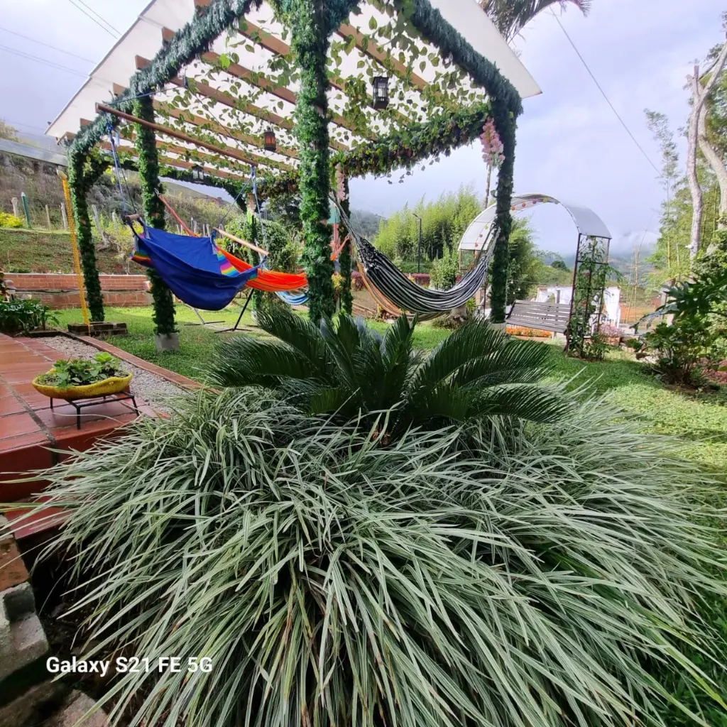 WhatsApp Image 2025-05-23 at 4.21.48 PM (3).webp