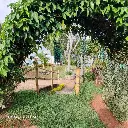 WhatsApp Image 2025-05-23 at 4.21.47 PM (3).webp