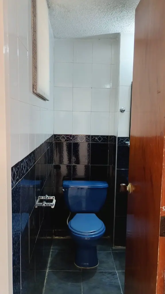 17 Guásimos B-208 baño pal.webp