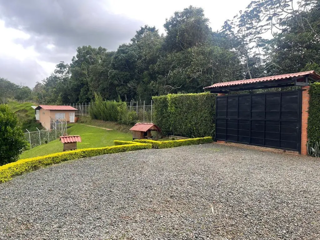 Imagen de WhatsApp 2025-11-04 a las 07.10.07_6c501872.webp