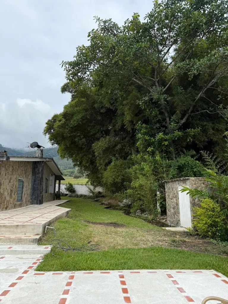 Imagen de WhatsApp 2025-11-02 a las 14.45.32_badafc37.webp