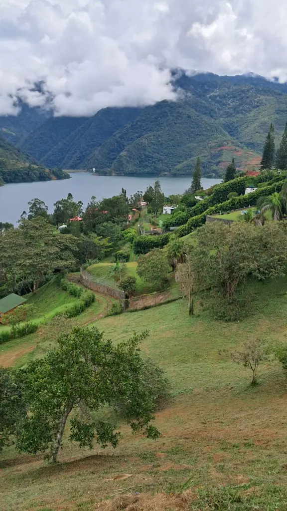 Imagen de WhatsApp 2025-11-11 a las 08.18.09_3053b128.webp