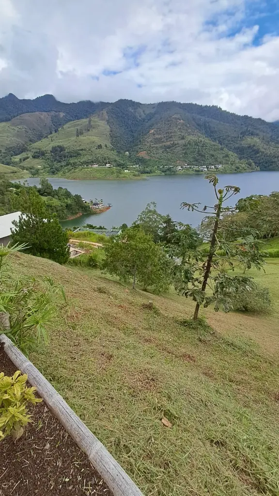 Imagen de WhatsApp 2025-11-11 a las 08.18.11_be34c41e.webp