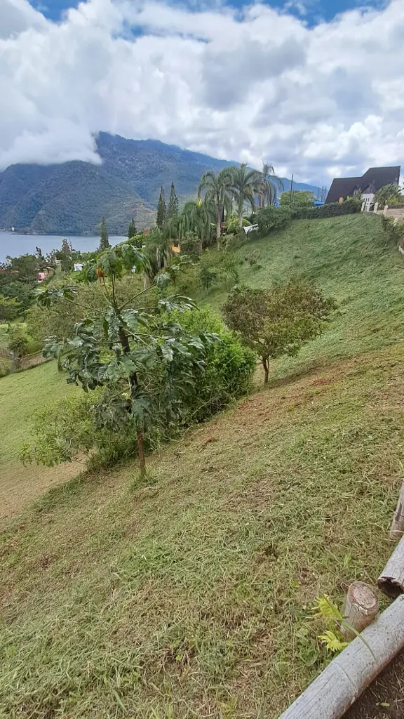 Imagen de WhatsApp 2025-11-11 a las 08.18.11_adbf4317.webp