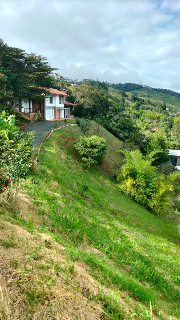 Imagen de WhatsApp 2025-11-11 a las 10.38.13_54cf4bc3.webp