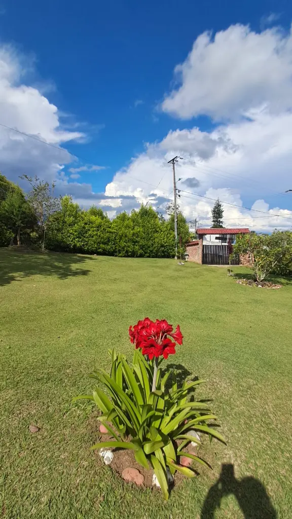 Imagen de WhatsApp 2025-10-30 a las 12.59.56_6b9835b7.webp