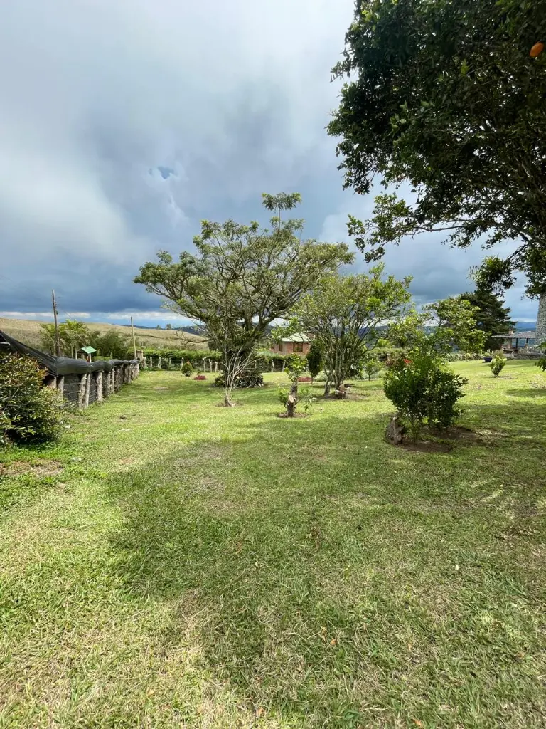 WhatsApp Image 2026-01-10 at 12.10.49 AM.webp