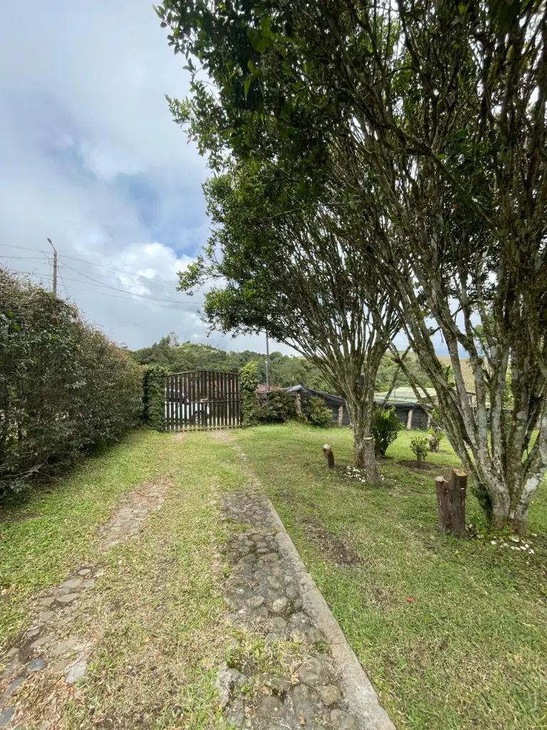 WhatsApp Image 2026-01-10 at 12.10.51 AM.webp