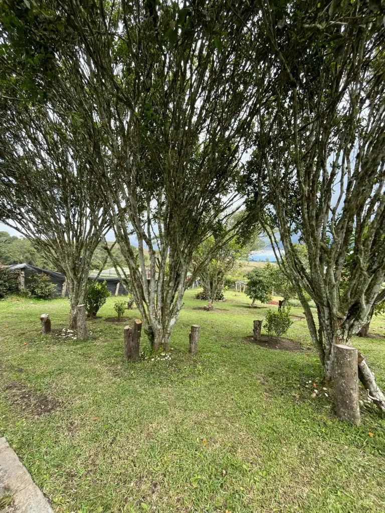 WhatsApp Image 2026-01-10 at 12.10.42 AM (1).webp