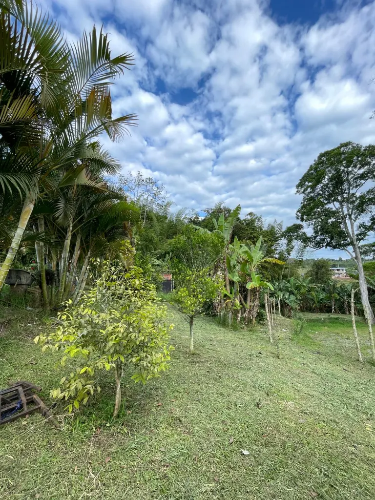 WhatsApp Image 2026-01-10 at 12.09.30 AM (2).webp