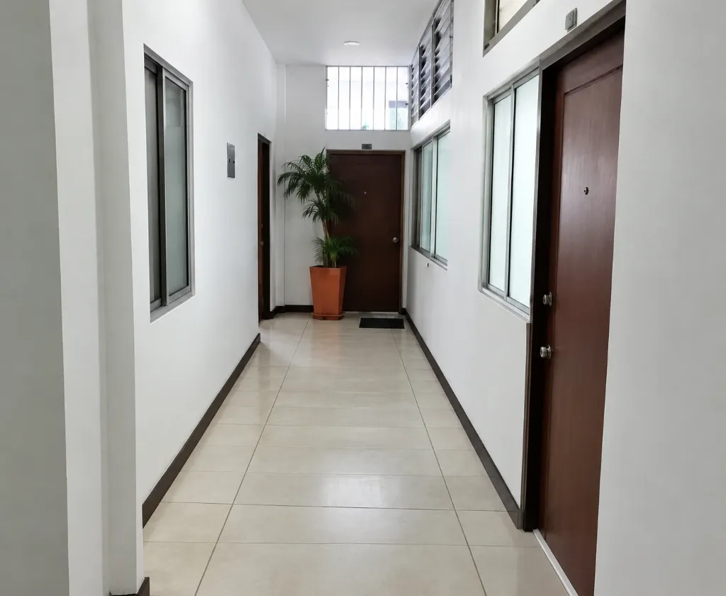 Pasillo luminoso con planta y puertas (1).webp