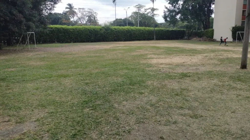 8 Cancha futbol.webp